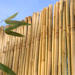 Free rustic beauty of bamboo fence 