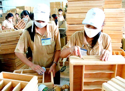 Binh Dinh: The solution for the wood processing industry exports